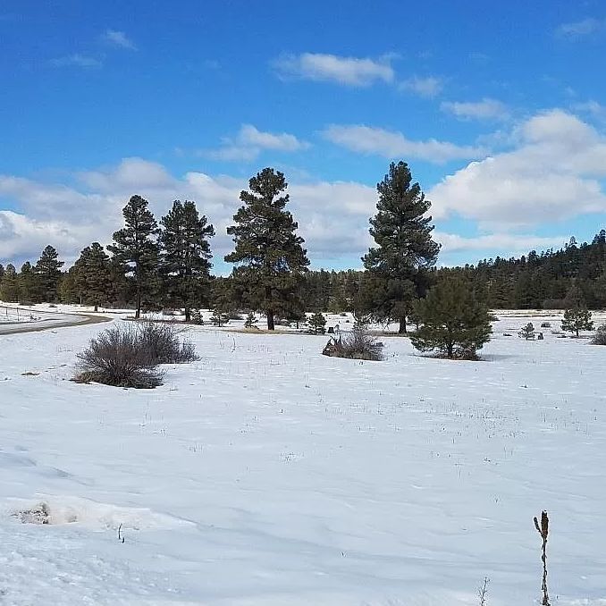 0.1 Acres, 15 Travelers Circle, Pagosa Springs, CO 81147 Land and Farm