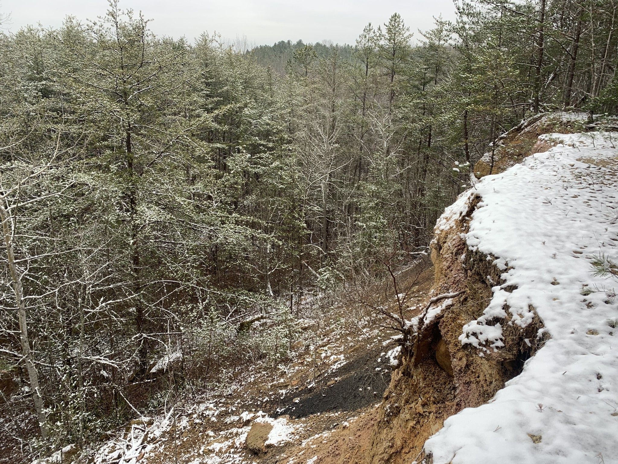 35 Acres, 0 Roe Ln, N, Winfield, TN 37892 Land and Farm