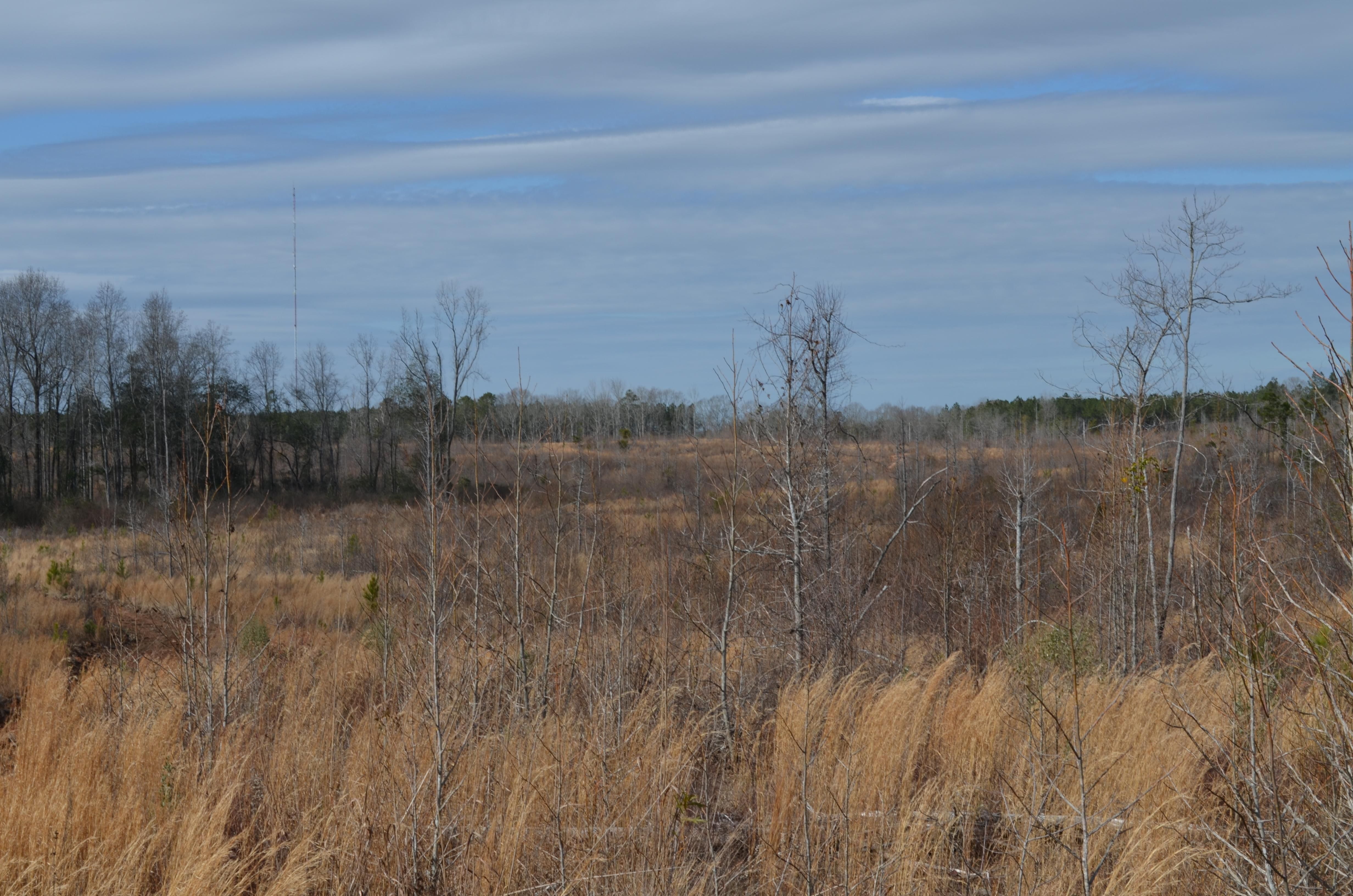 35 Acres, Lafayette, AL 36862 Land and Farm