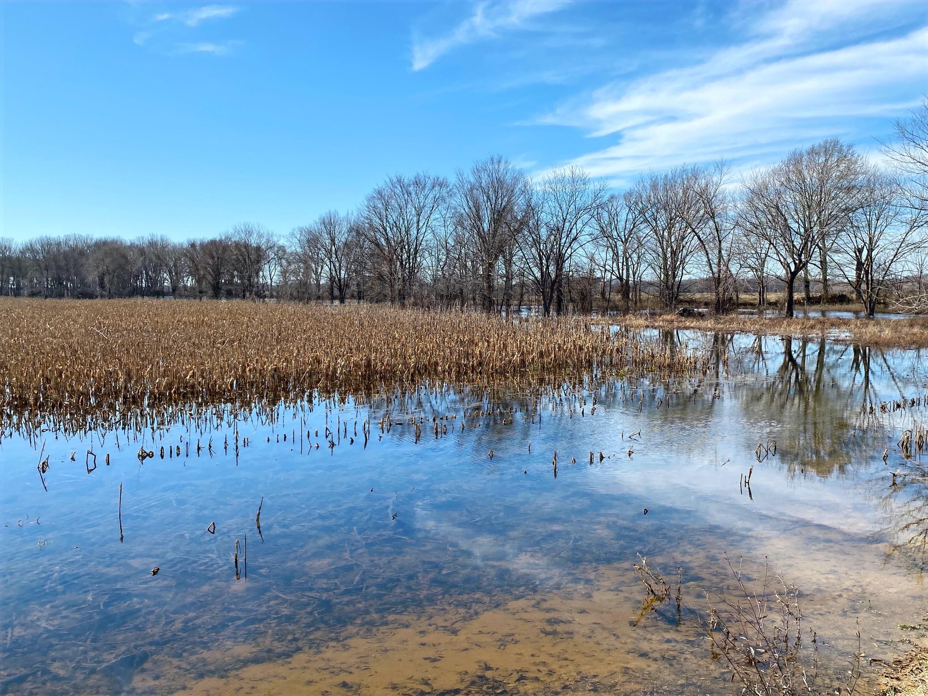 41 acres in Eudora, AR, 71640 Land and Farm