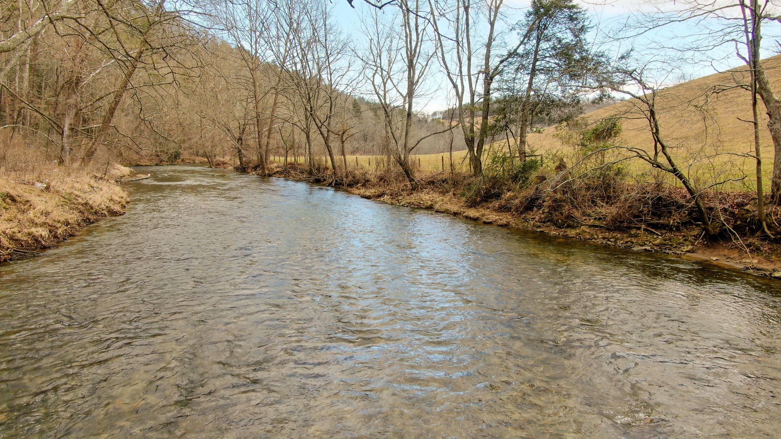 Scratch Gravel Road, Max Meadows, VA 24360 MLS 875094 Land and Farm