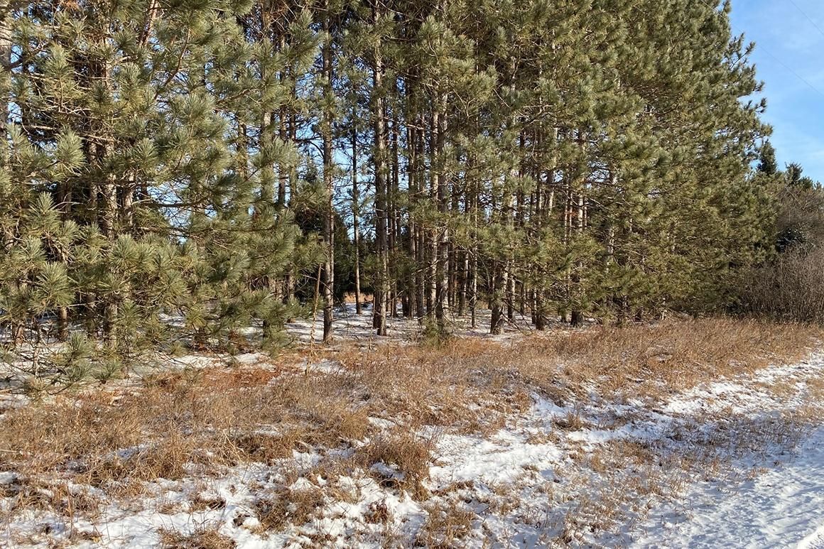 Lubka Road, Wausaukee, WI 54177 Land and Farm