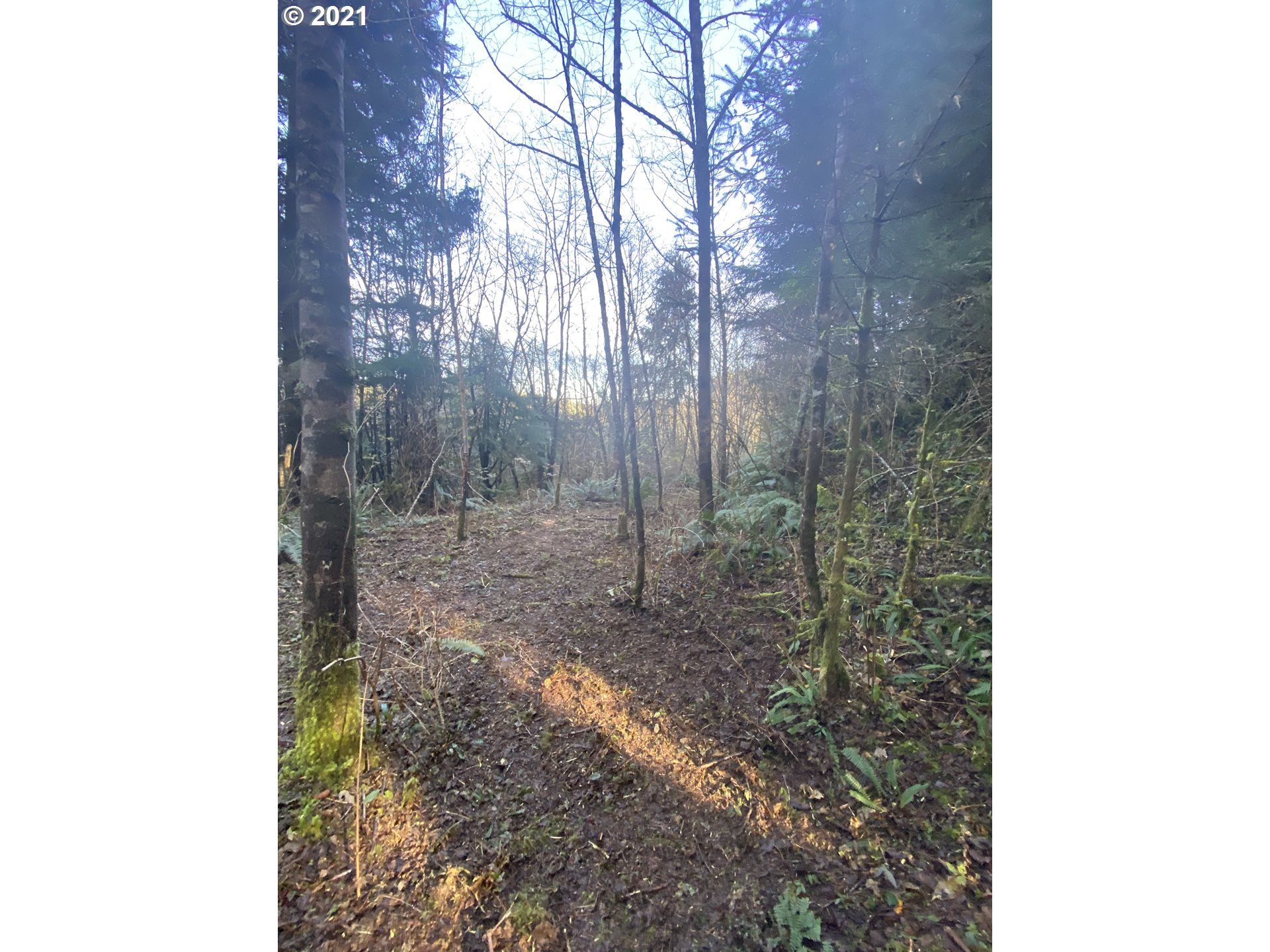 3 Acres, Old Netarts HWY, Netarts, OR 97143 Land and Farm