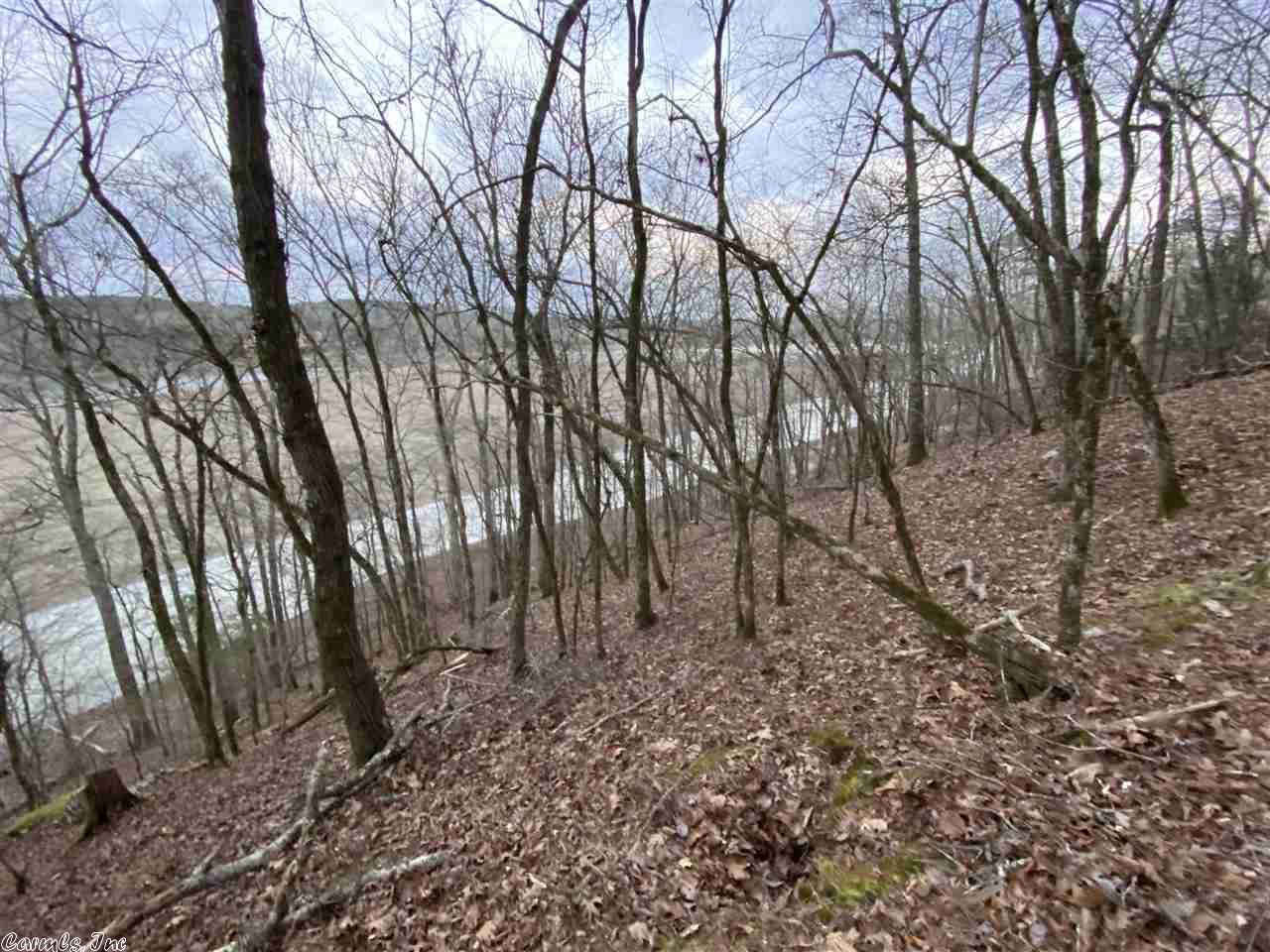 3.96 Acres, 000 woodview Lane, Royal, AR 719680000 Land and Farm