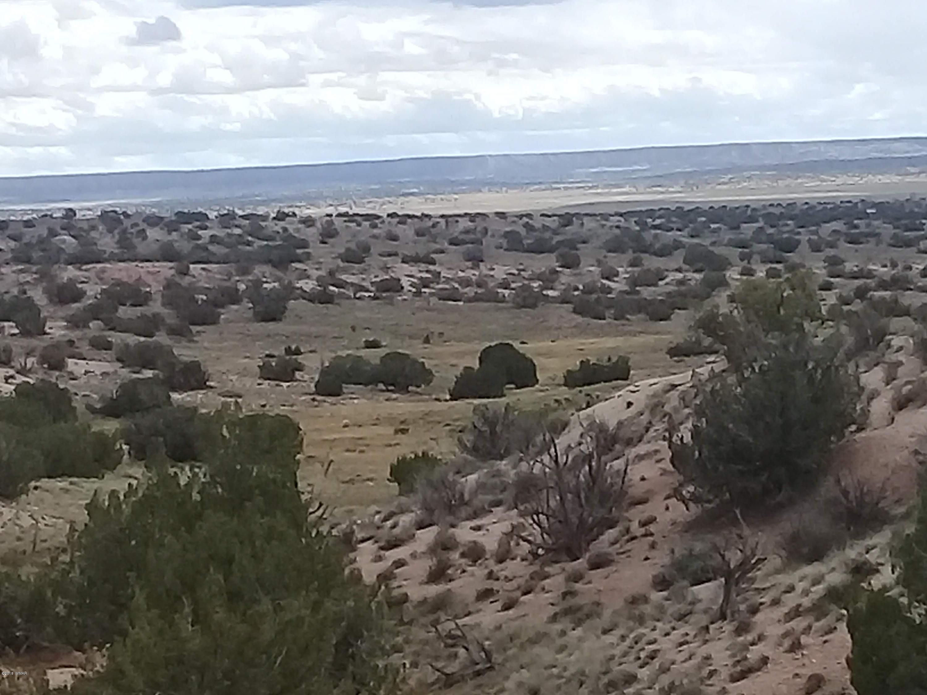 40 Acres, 40 acres County Road 7396, Sanders, AZ 86512 Land and Farm