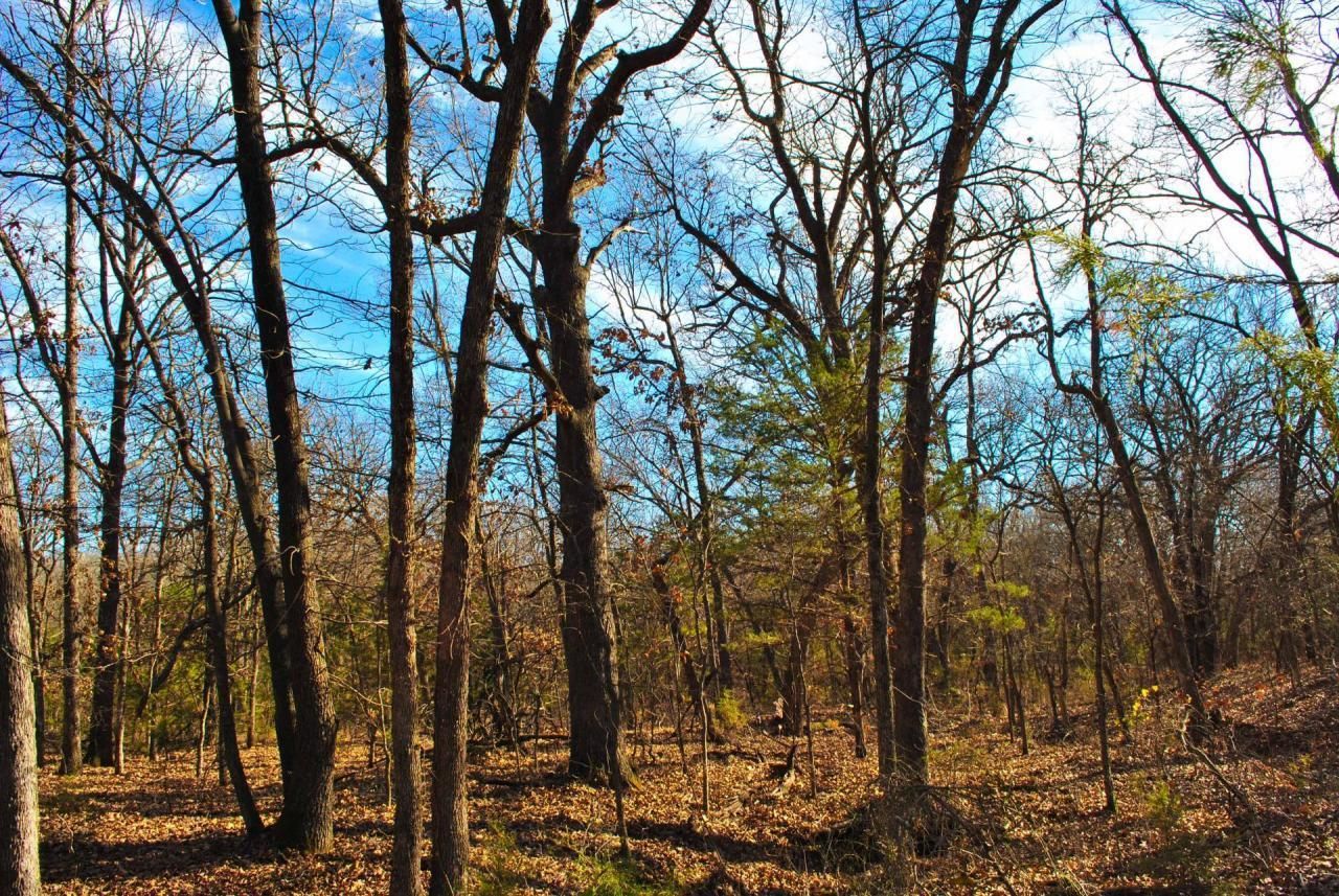 40 acres in Ada, OK, 74825 Land and Farm