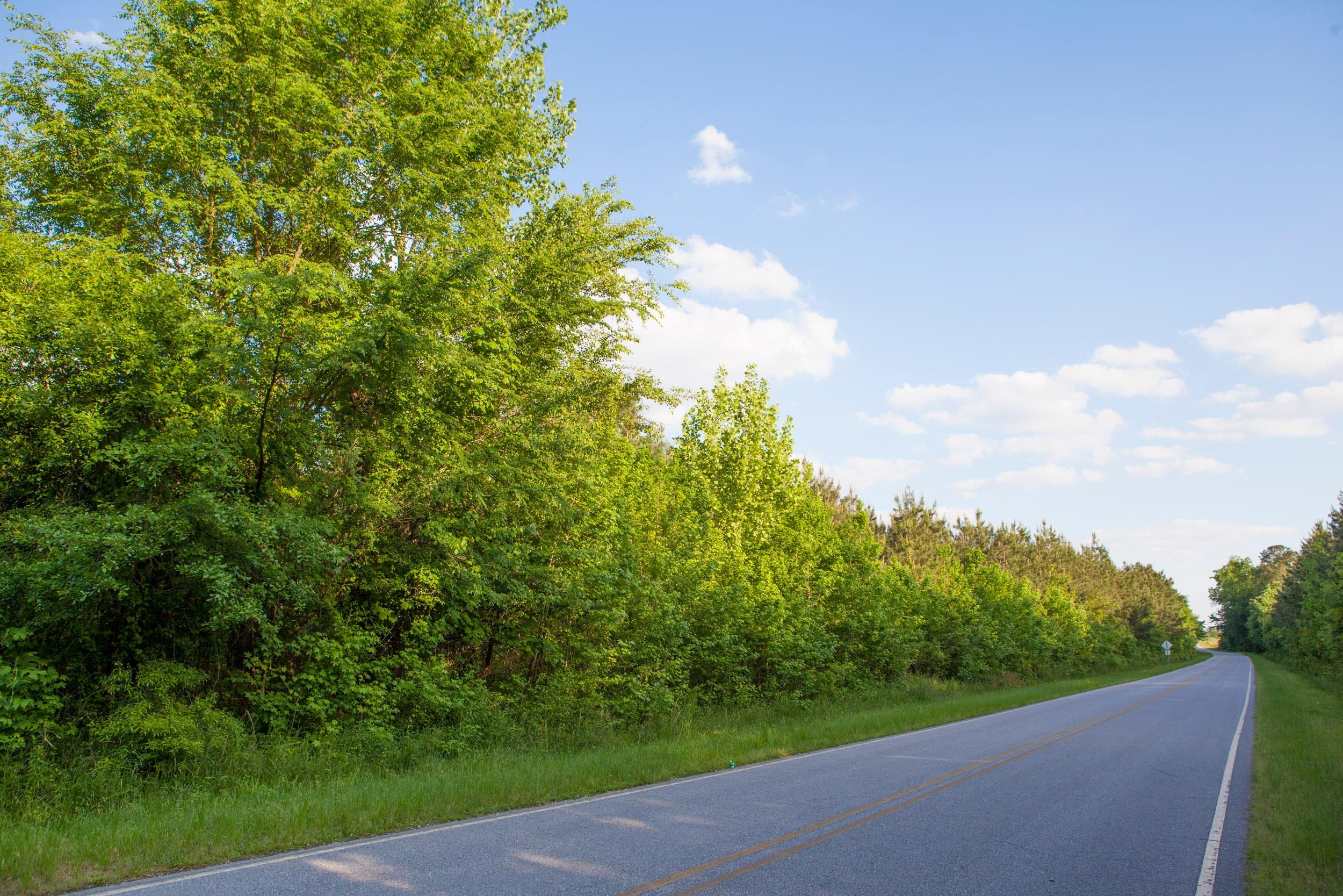354 Acres, Cutchin Farm Rd, Tarboro, NC 27886 Land and Farm