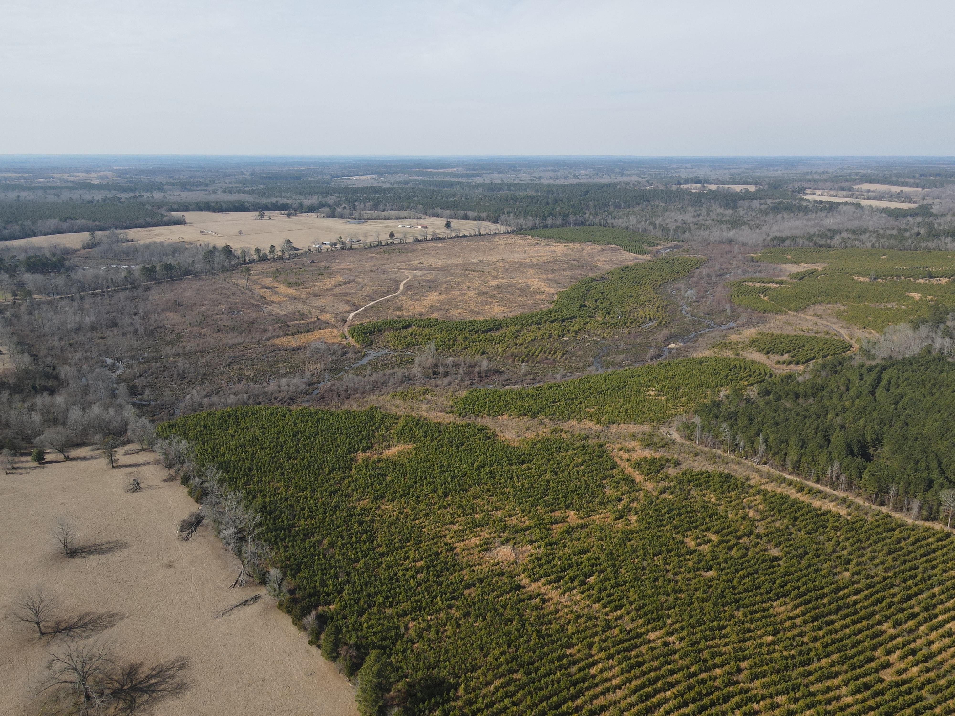 244 acres in Linden, TX, 75563 Land and Farm