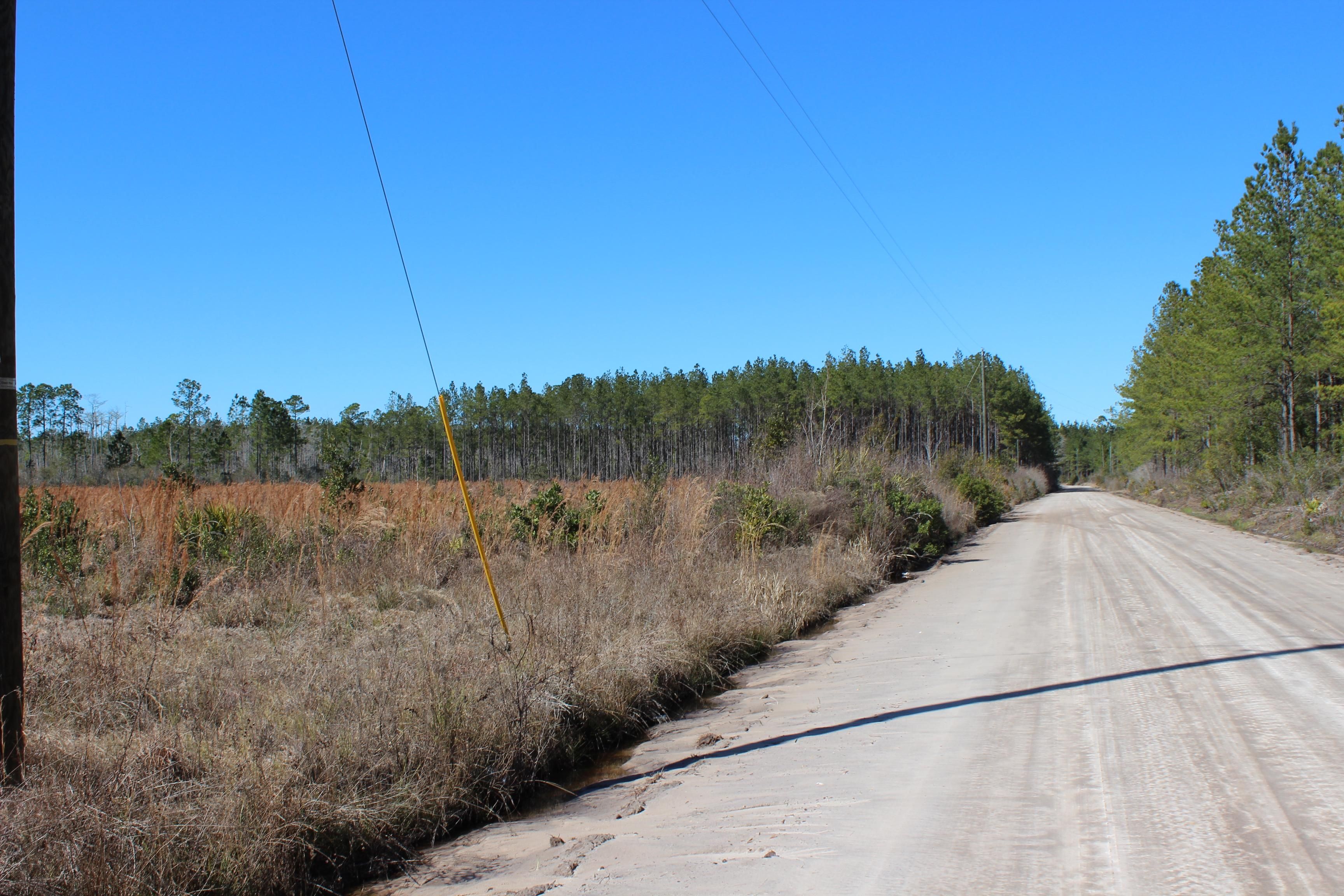 Gooding Bay Rd, Waycross, GA 31503 MLS 50 acres Gooding Bay Land