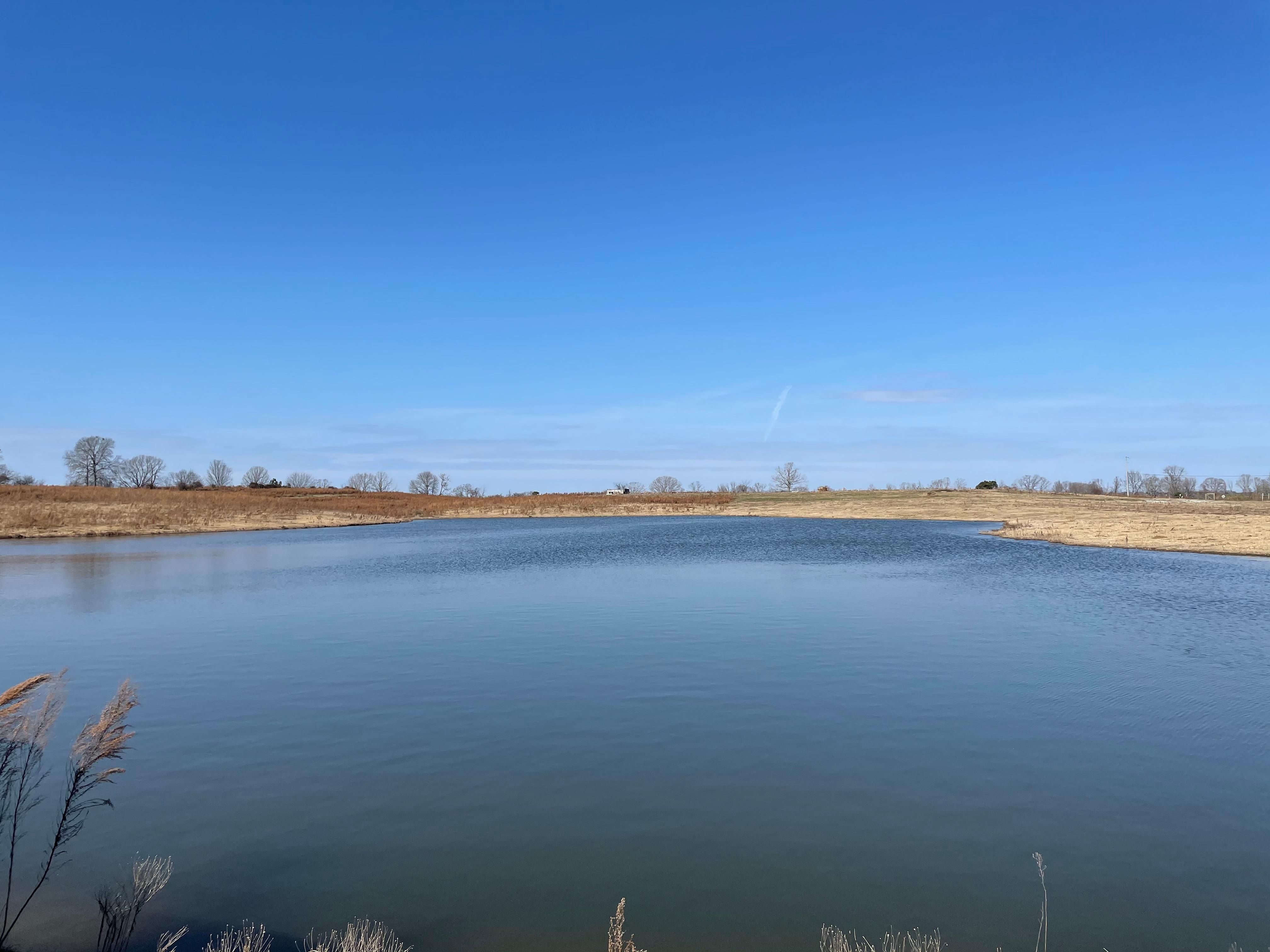 Cook Creek Rd, Littleville, AL 35654 Land and Farm