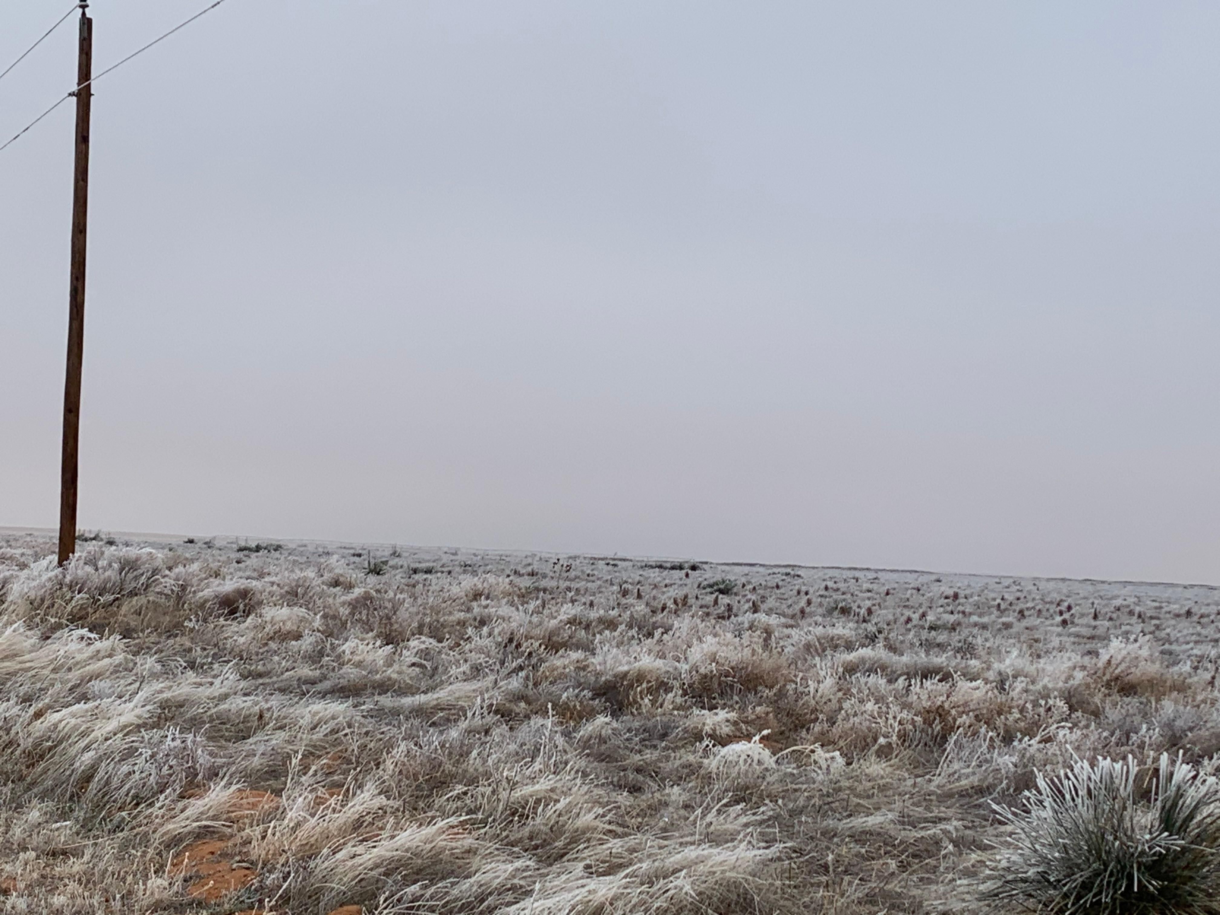 1,784 Acres, County Road 314, Seminole, TX 79360 Land and Farm