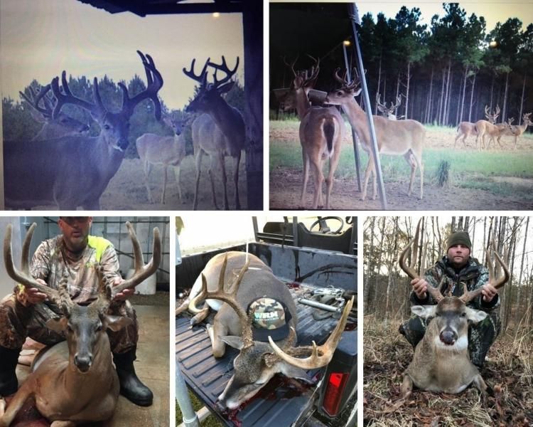 Whitaker Road, Centreville, MS 39631 Land and Farm