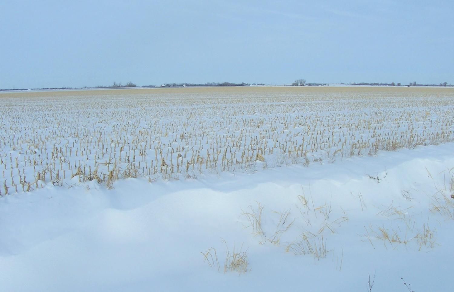 128.7 Acres, Clarks, NE 68628 Land and Farm