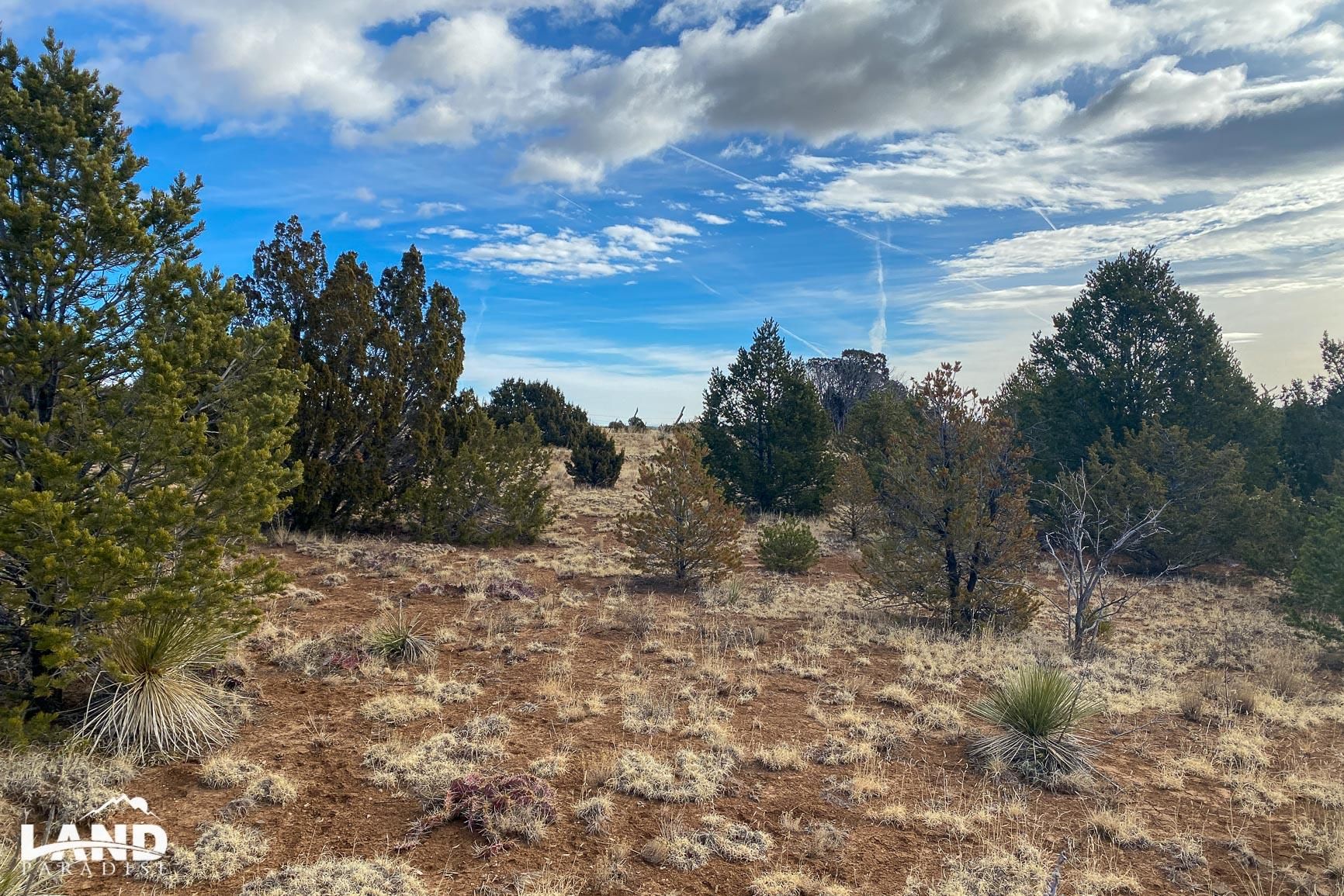 3.7 Acres, 230 Mora Rd, Tijeras, NM 87059 Land and Farm