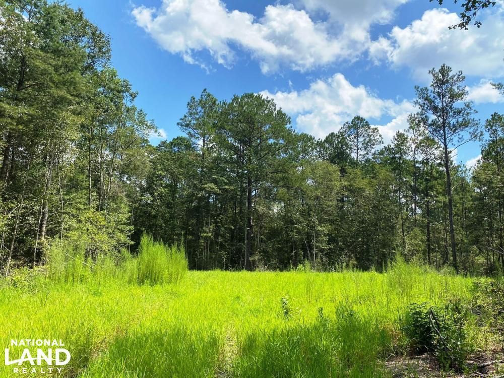 120 Acres, 00 Washam Road, Lucedale, MS 39452 Land and Farm