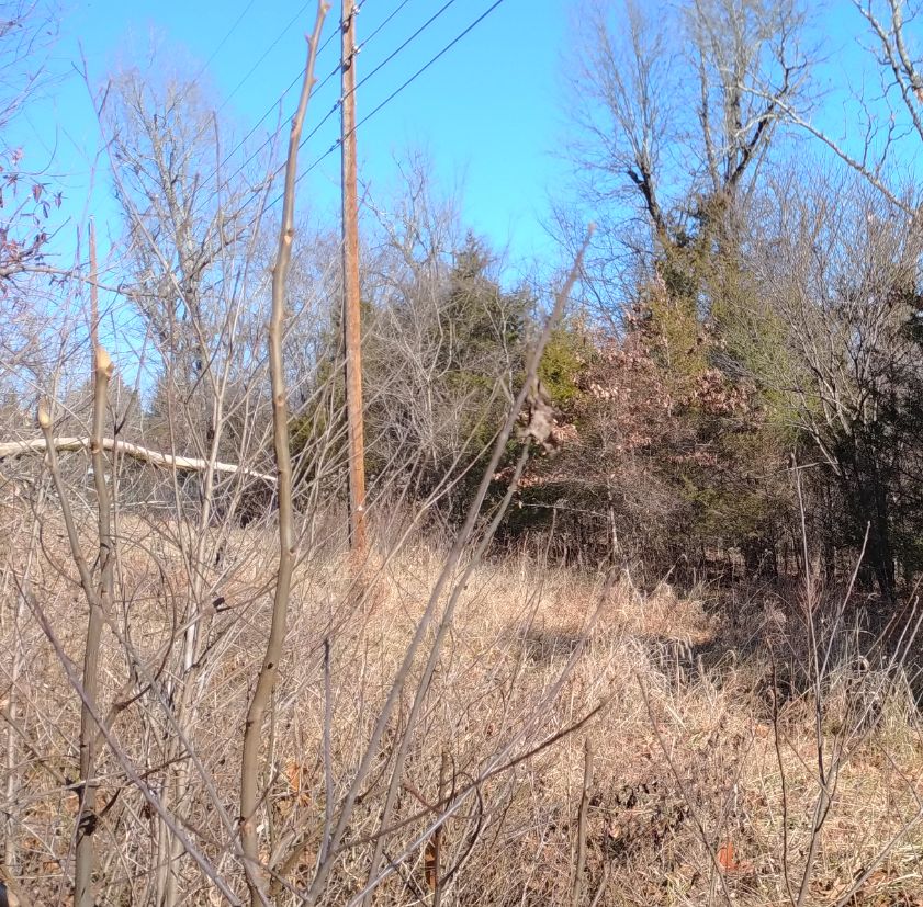 0.2 Acres, 1318 East Ridge Circle, Horseshoe Bend, AR 72512 Land and Farm