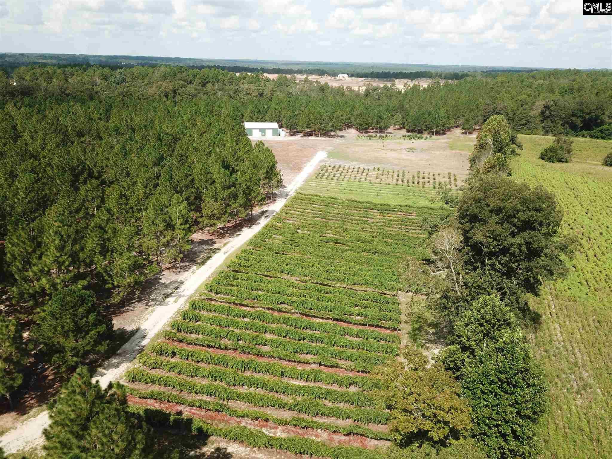 77.85 Acres, 210 Liberty Hill Road, Gilbert, SC 29054 Land and Farm