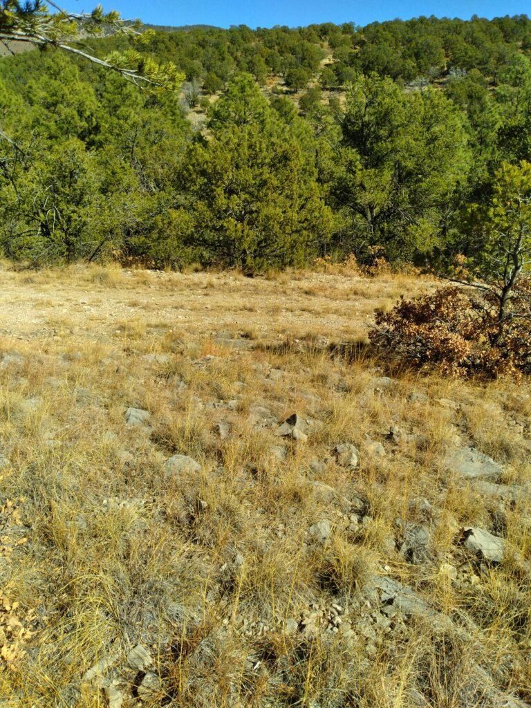 1.01 Acres, Cloudcroft, NM 88350 Land and Farm