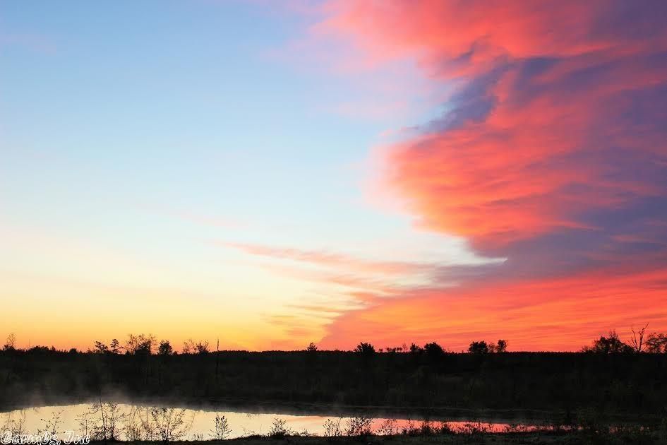 40 Acres, Murfreesboro, AR 71958 Land and Farm