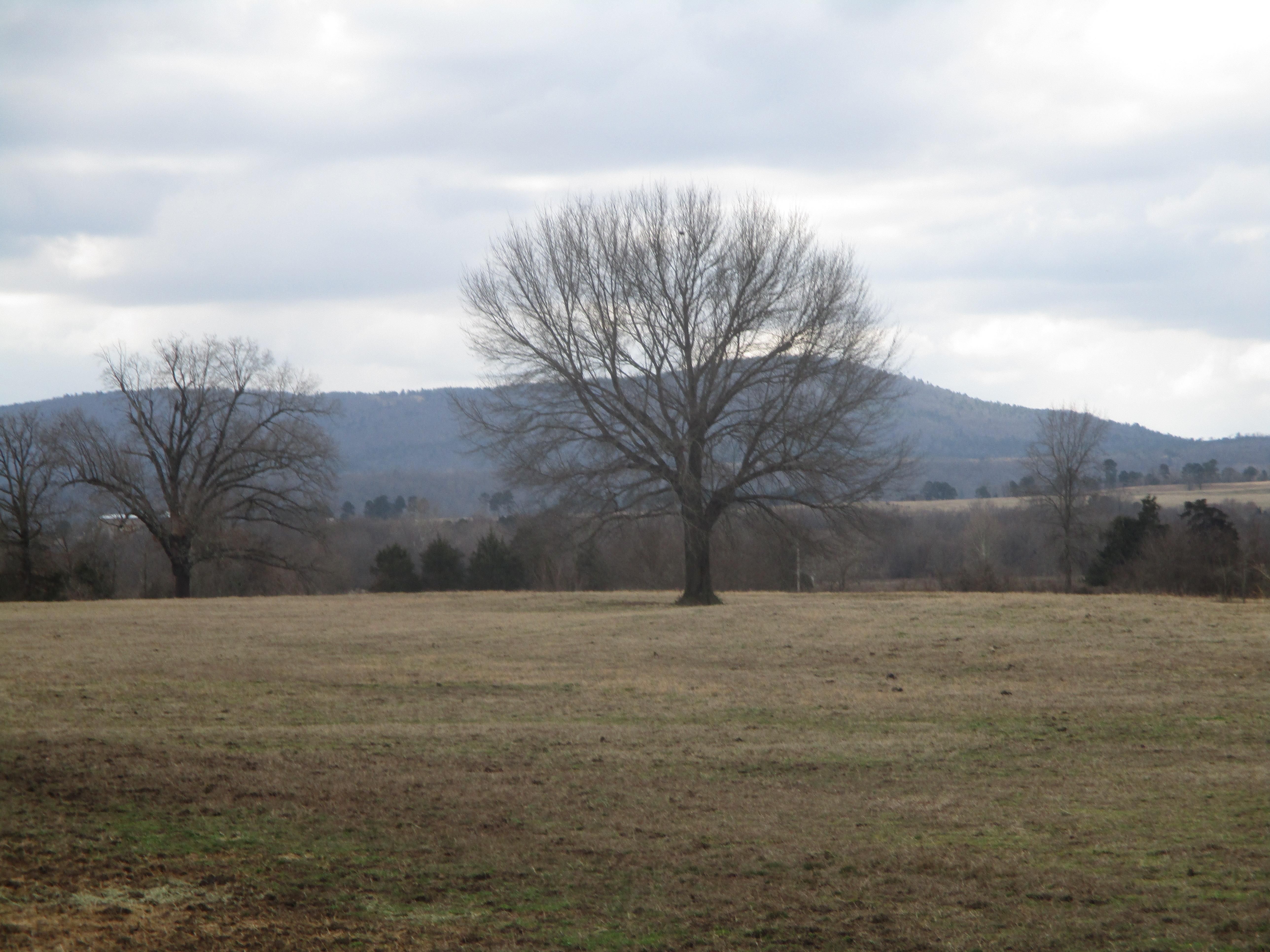 27769 310th Ave, Shady Point, OK 74956 Land and Farm