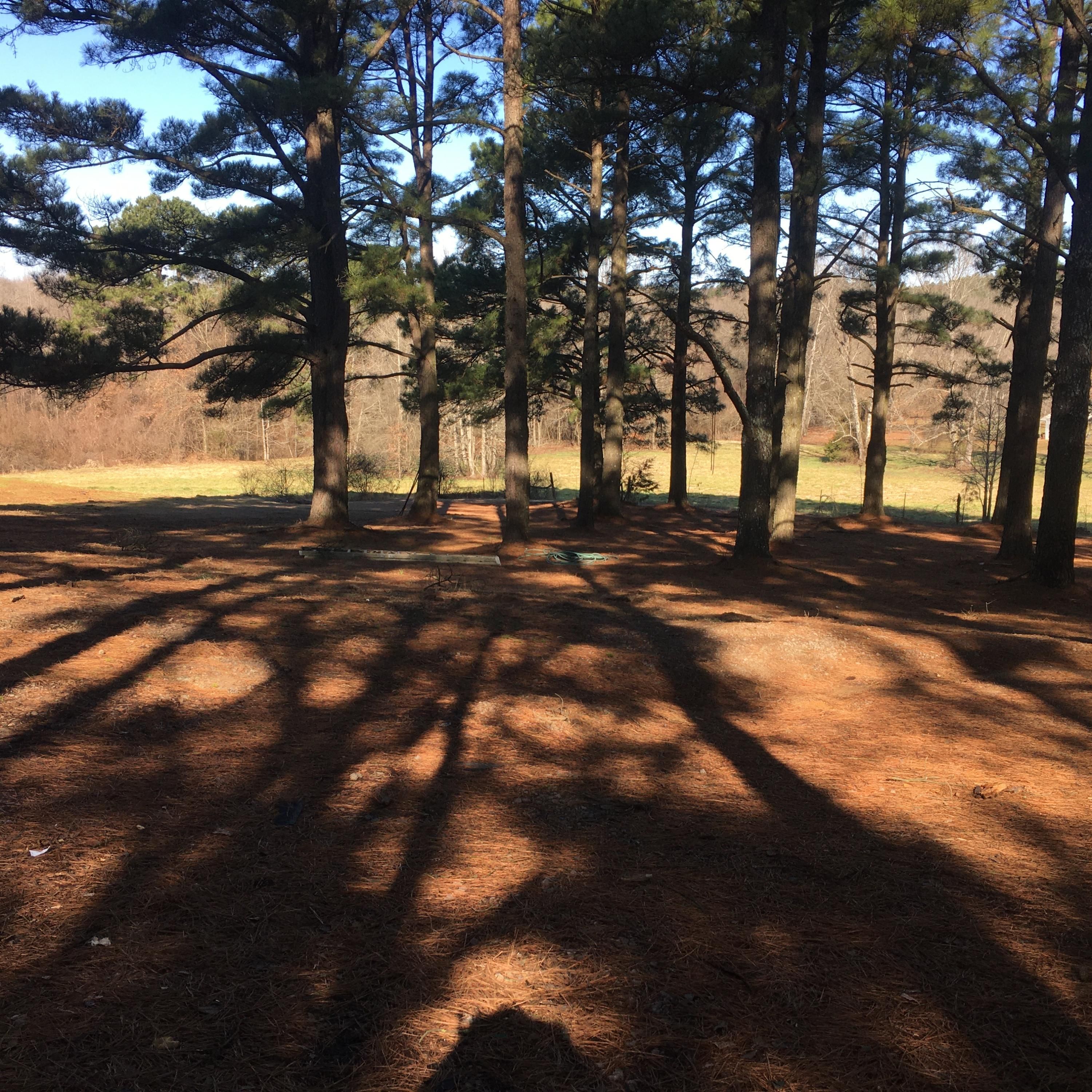 20 Acres, 10392 Pullen Pond Road, Dardanelle, AR 72834 Land and Farm