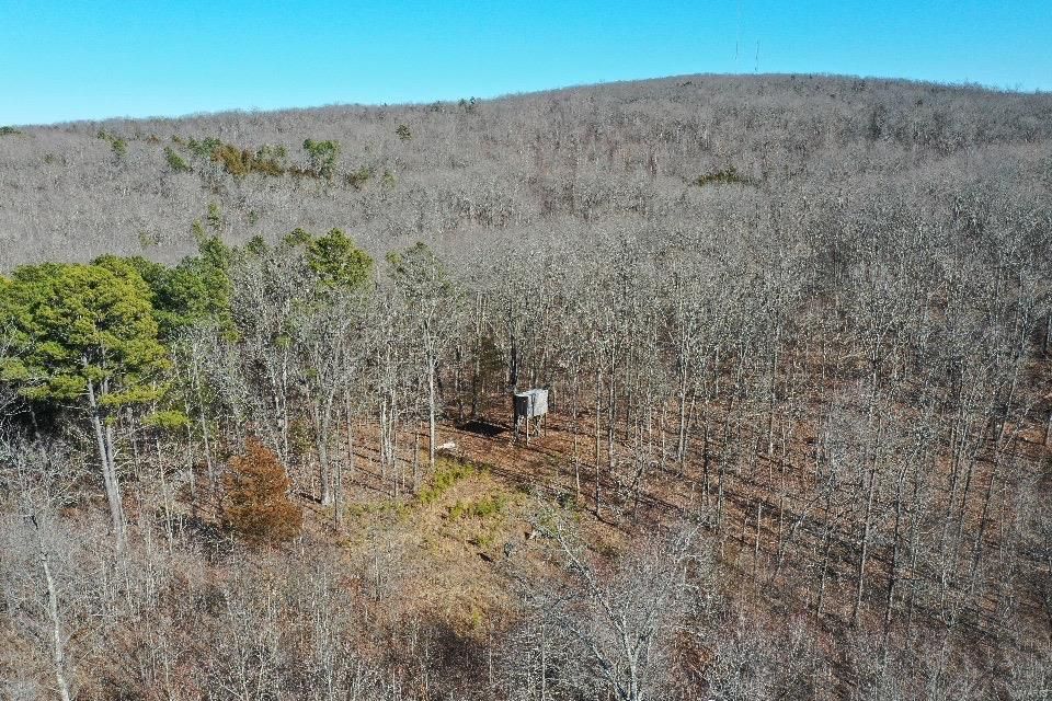 100 Acres, 0 Off Madison 413, Fredericktown, MO 63645 Land and Farm