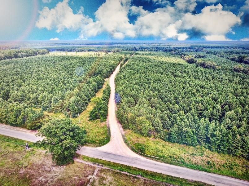 0 Hwy 25, Lewisville, AR 71845 Land and Farm