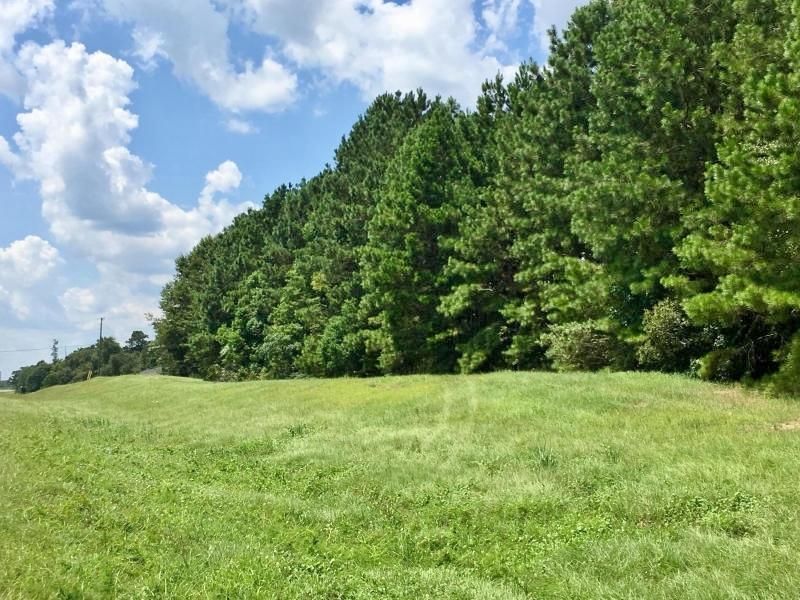 007 Evelyn Gandy Parkway, Hattiesburg, MS 39401 Land and Farm