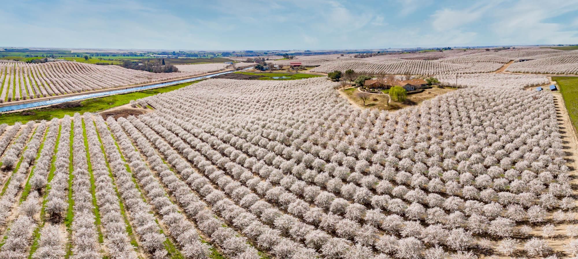 35 Acres, 702 Crabtree Road, Waterford, CA 95386 Land and Farm