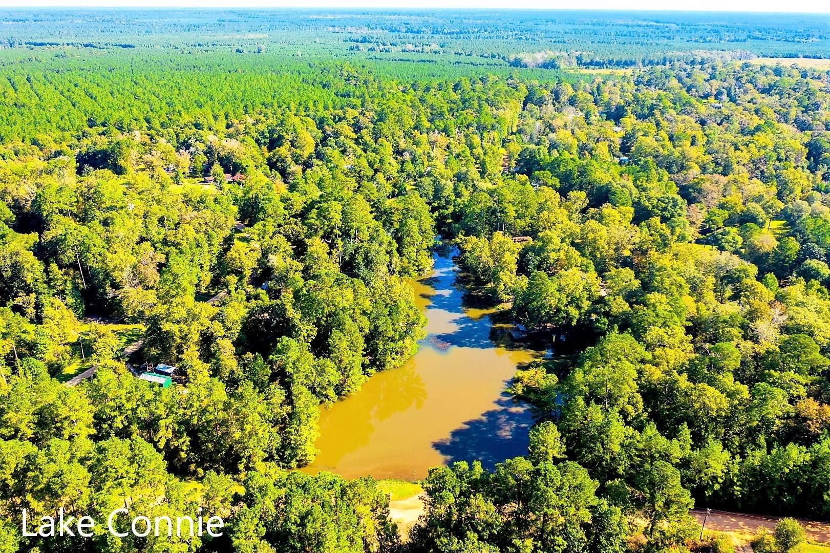 0.75 Acres, Livingston, TX 77351 Land and Farm