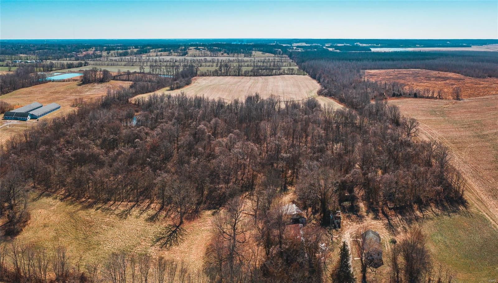 60 Acres, 790 Shawnee College Road, Ullin, IL 62992 Land and Farm