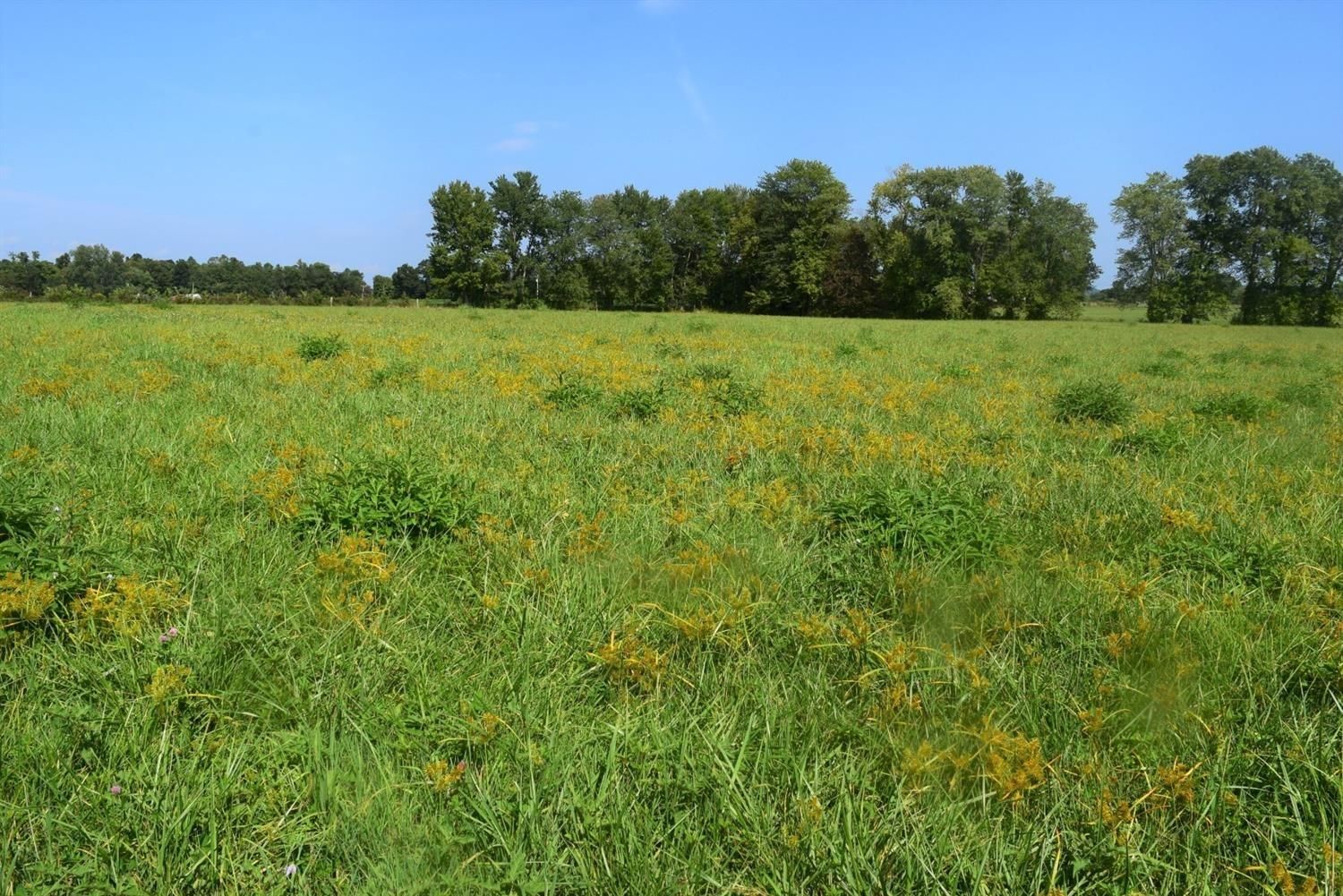 40 Acres, 1175 Rice Road, Morehead, KY 40351 Land and Farm