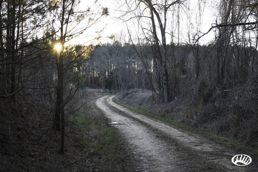 169 Acres, Rock Hill Road, LotWp01, Holly Springs, MS 38635 Land and