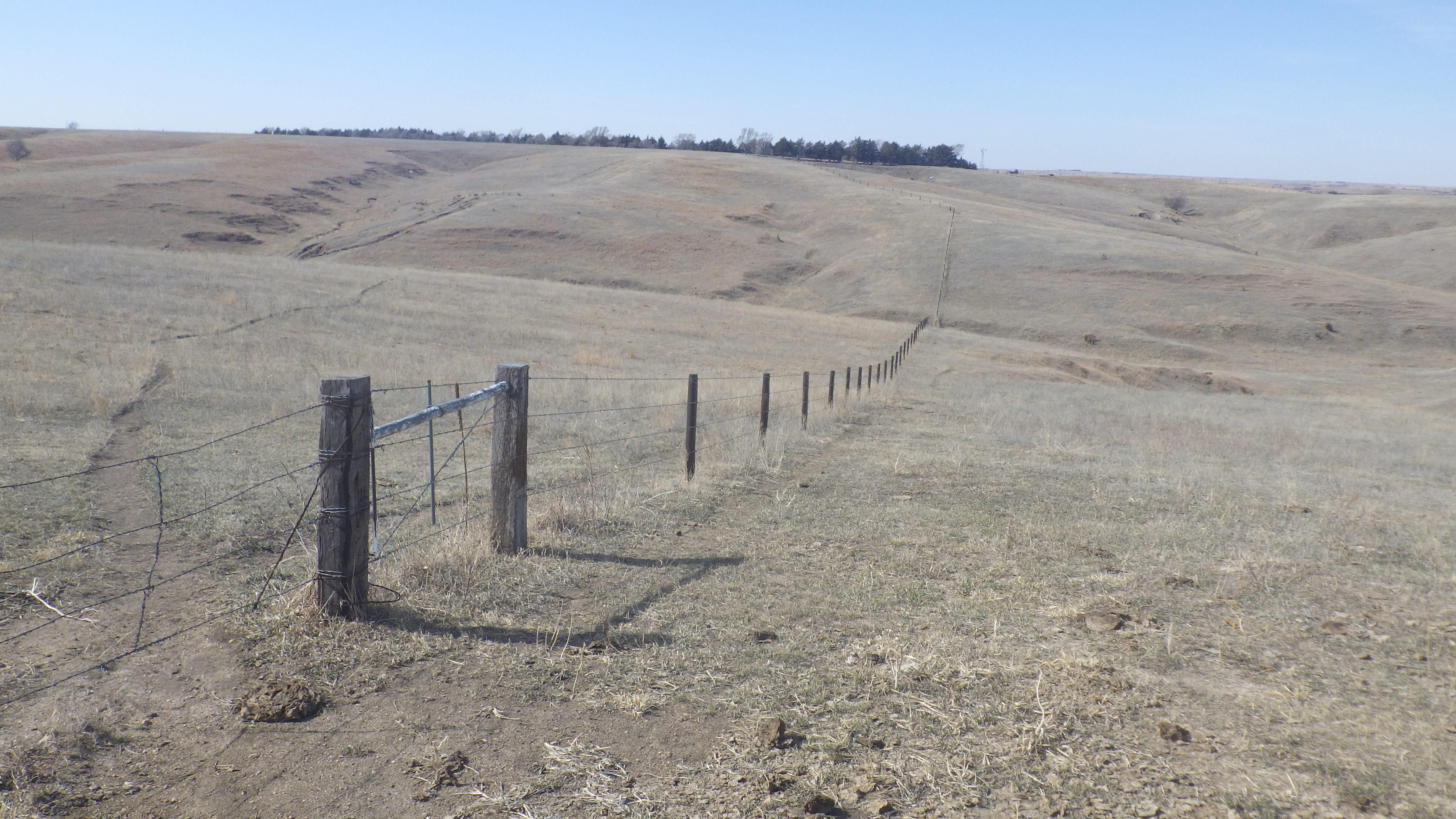 511 Acres, Loup City, NE 68853 Land and Farm