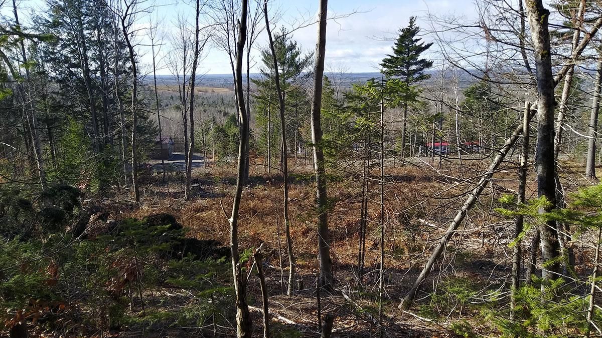 89 Transalpine Rd, Lincoln, ME 04457 MLS TMLS1019 Land and Farm