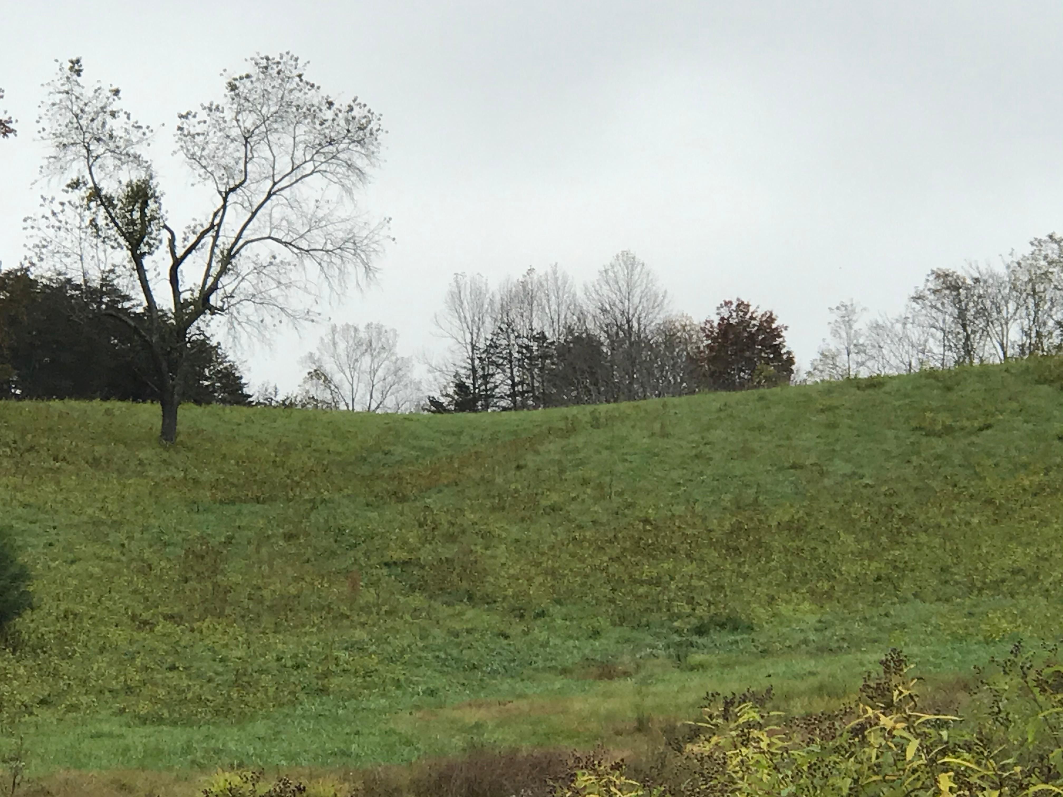 5.39 Acres, Callaway Road, Callaway, VA 24067 Land and Farm