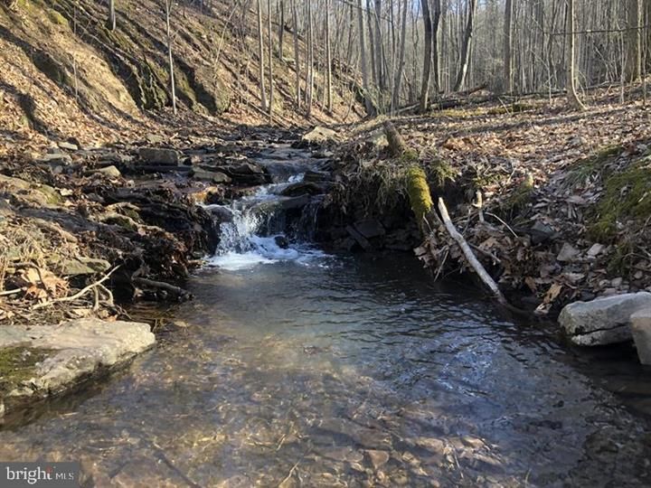 20.2 Acres, 153 ASHTON WOODS, Moorefield, WV 26836 Land and Farm