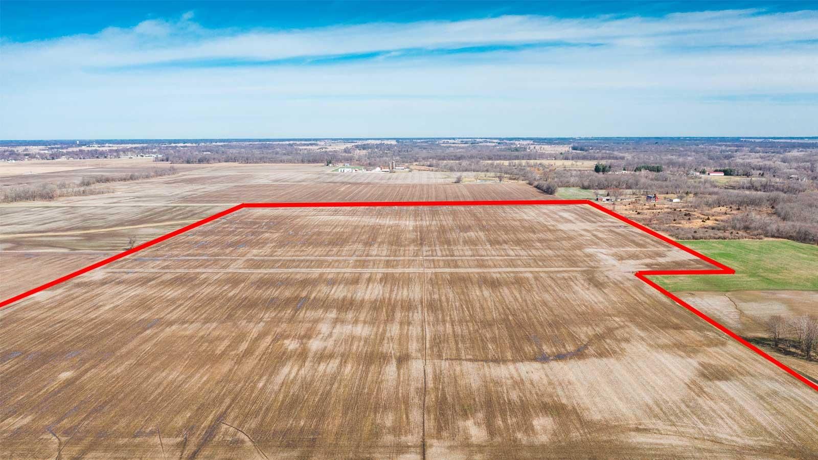 90.94 Acres, 11346 Bononi Road, New Douglas, IL 62074 Land and Farm