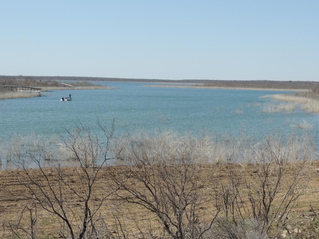 120 Acres, Voss, TX 76888 Land and Farm