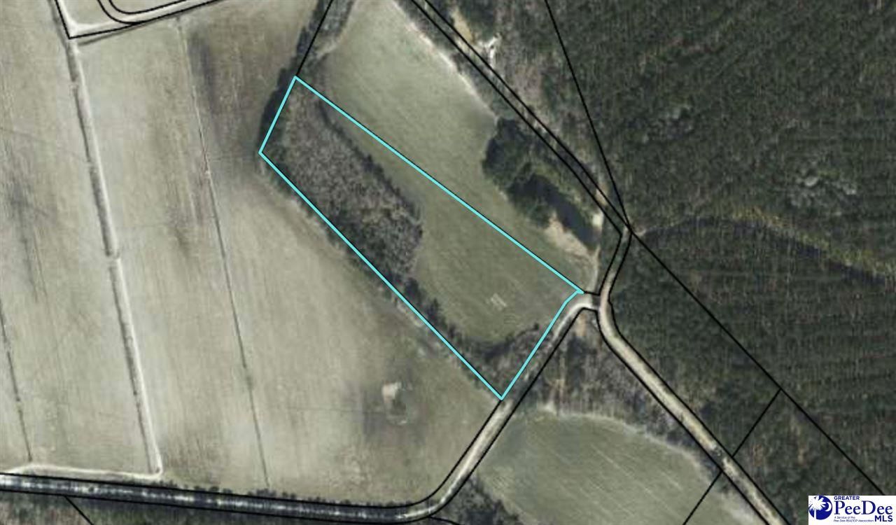 8.21 Acres, Lot 2 Bob White Rd., Turbeville, SC 29162 Land and Farm