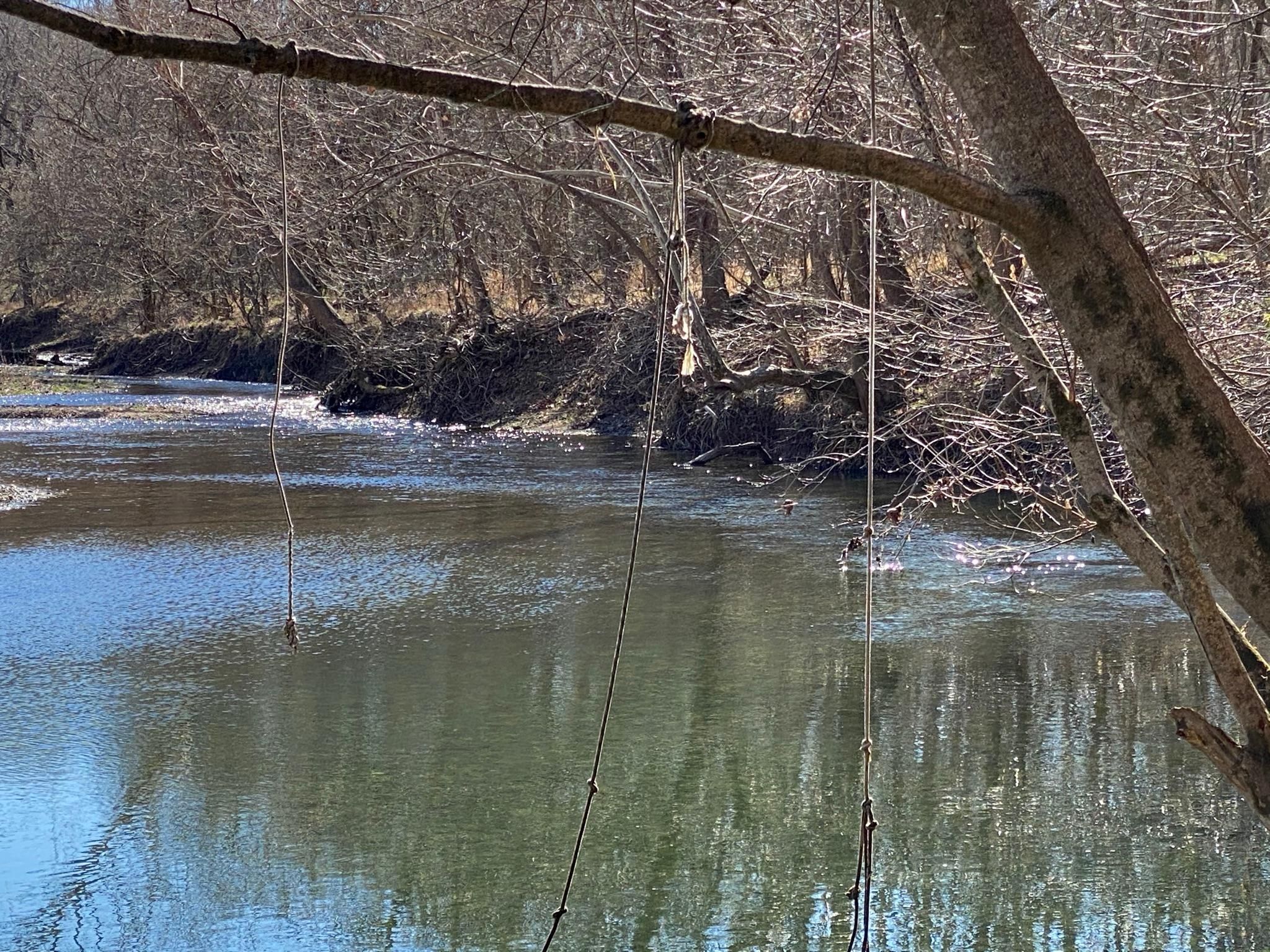 111 Black Bear Bluff, Mountain View, AR 72560 MLS 5589 Land and Farm