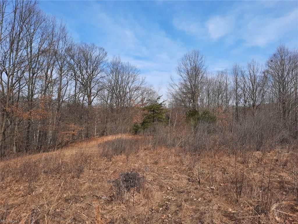 40 Acres, Sagamore Rd, Walton Hills, OH 44146 Land and Farm