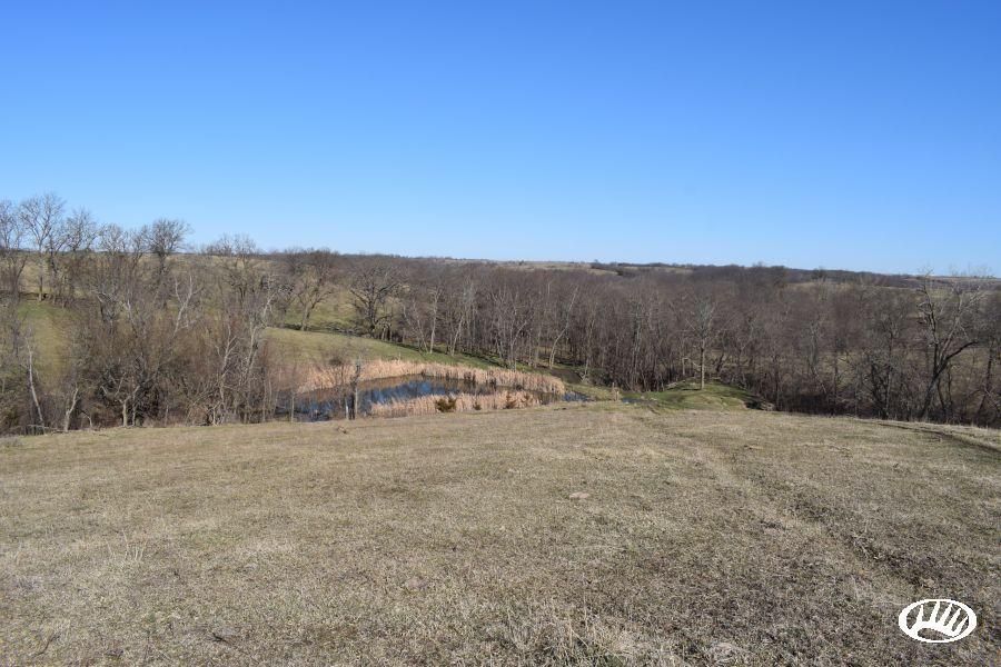 Edison, Lineville, IA 50147 Land and Farm