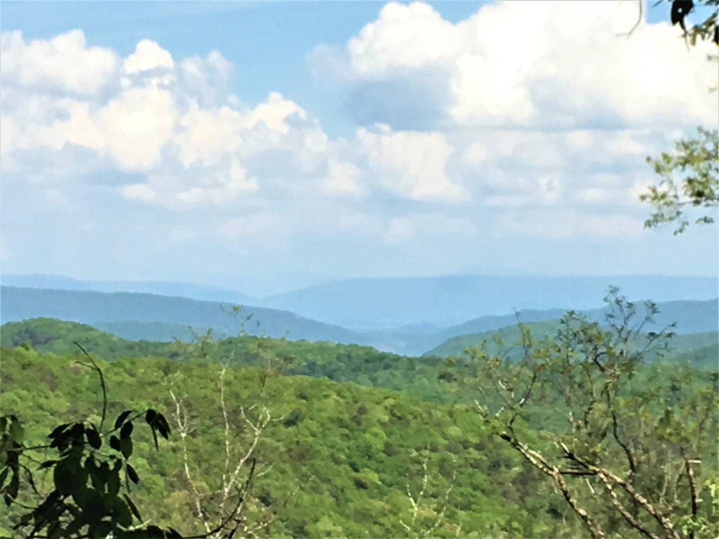 97.1 Acres, 21427 Little Dry River Road, Fulks Run, VA 22830 Land and