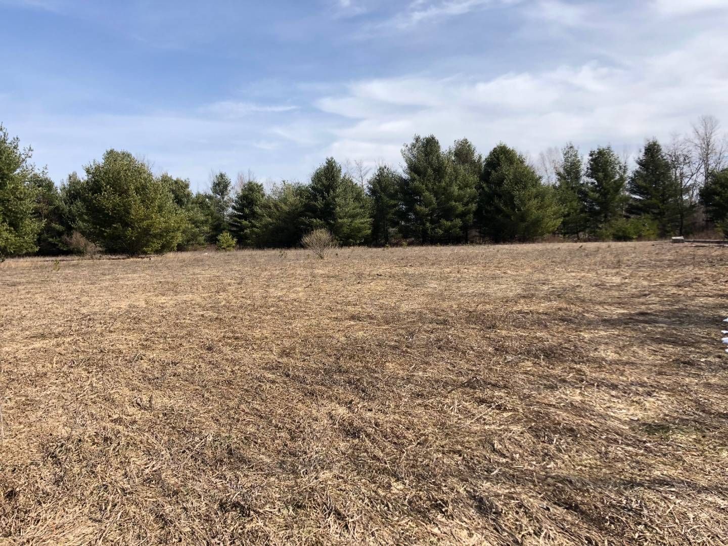 80 Acres, 000 River Rd., Gladwin, MI 48624 Land and Farm