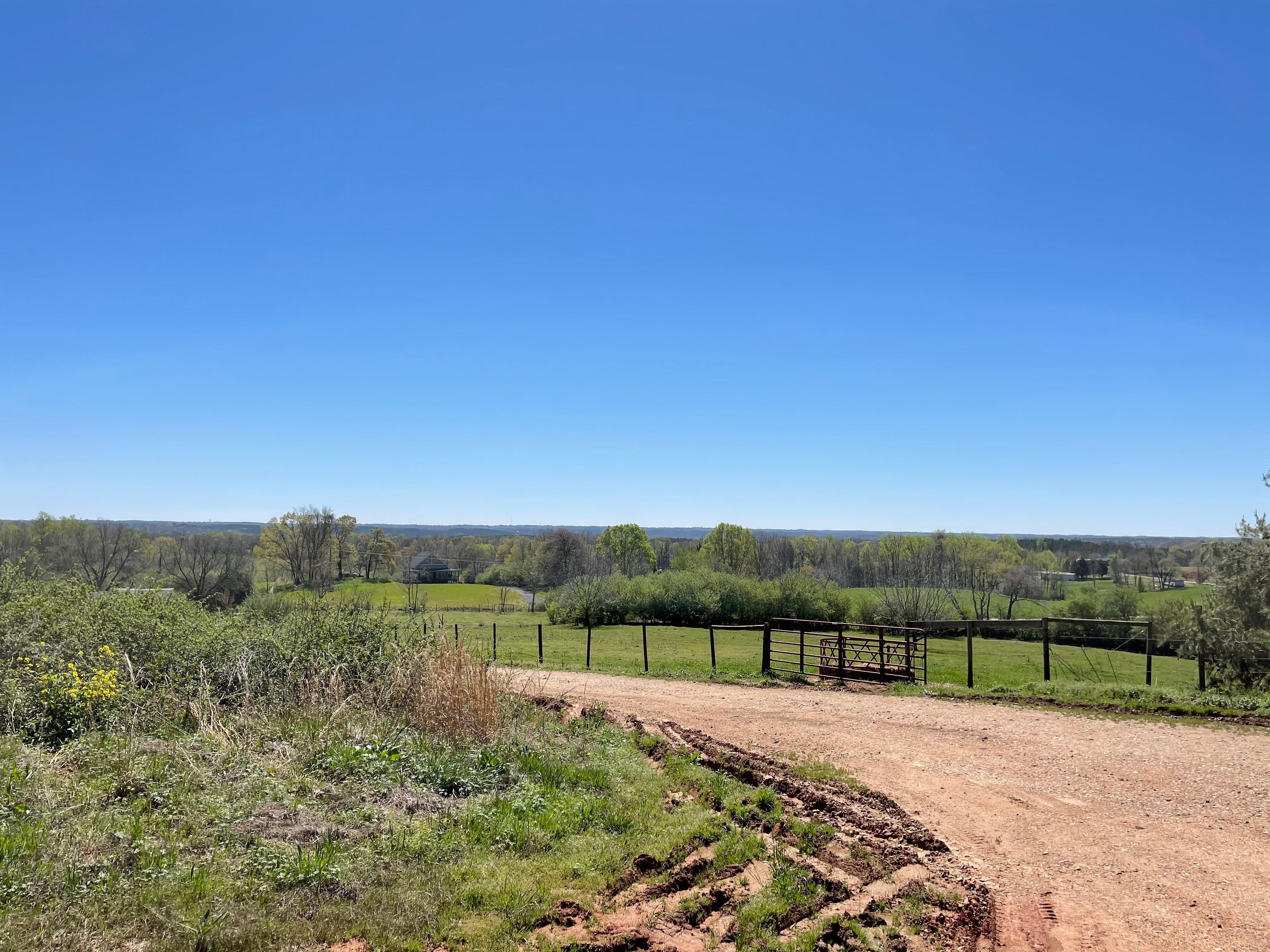 8977 Skitts Mountain Road, Clermont, GA 30527 Land and Farm