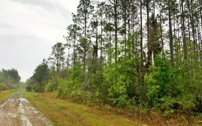 10 5 Acres SW PARADISE WAY Greenville - 1 3902169352