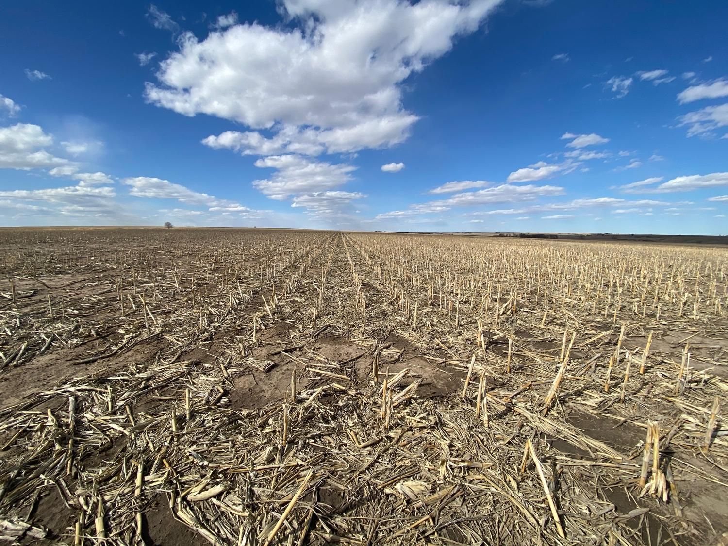 320 Acres, Elwood, NE 68937 Land and Farm