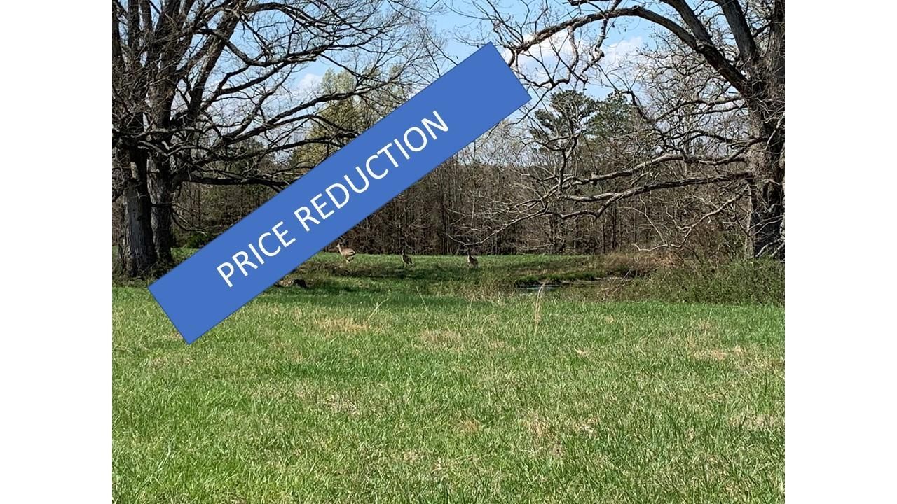 80 Acres, Golden Drive, Raymondville, MO 65555 Land and Farm