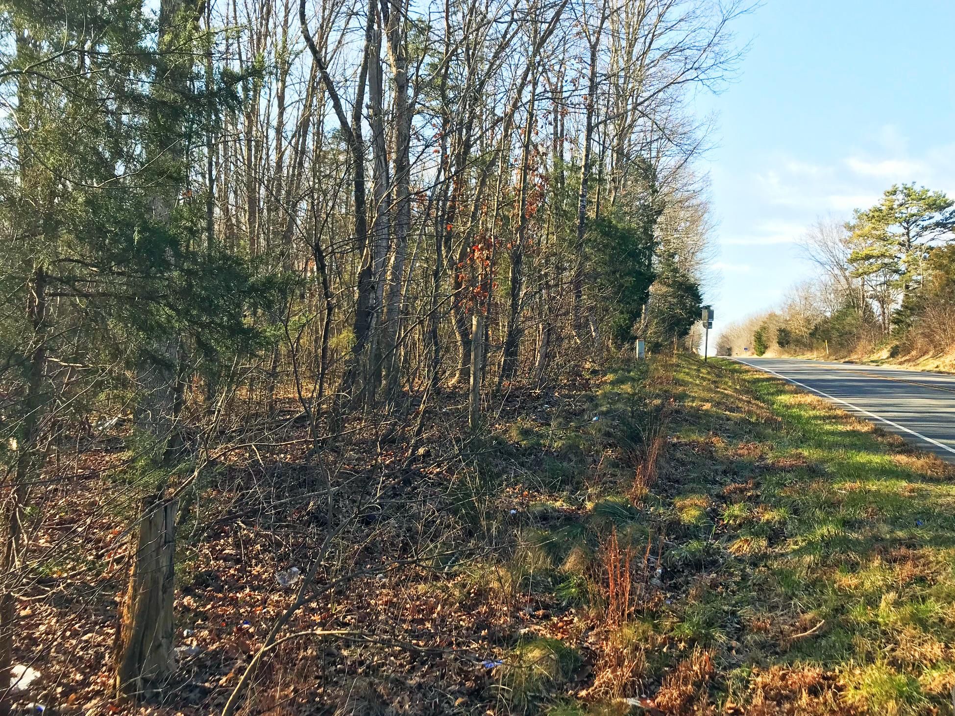 3 Acres, West James Anderson Highway, Buckingham, VA 23921 Land and Farm